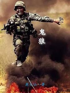 猎鹰血狼的都市