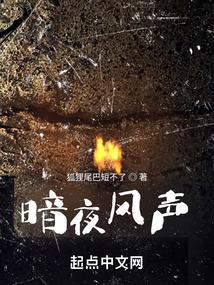 暗夜风落