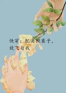 快穿配角晋江
