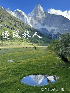 逐风者txt