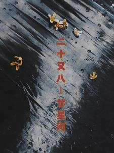 二十有二