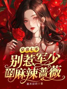 军少你别乱来