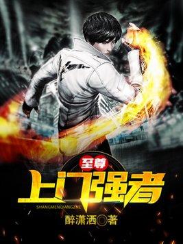 至尊上门强者陆凡