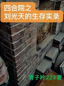 四合院我是刘光天免费阅读