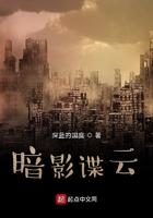 暗影谍云30集免费播放