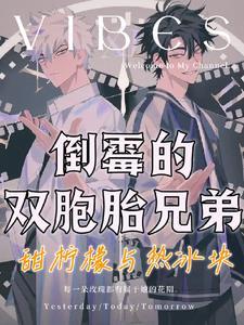 双胞胎兄弟年下文