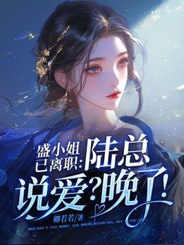 盛小姐生两个孩子