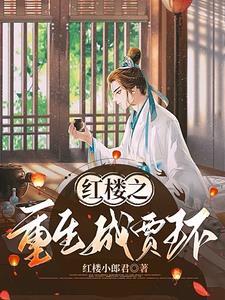 穿越红楼庶子