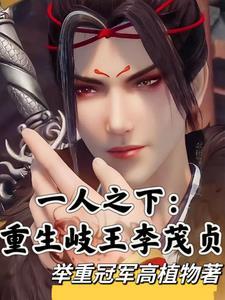 岐王李茂贞的实力