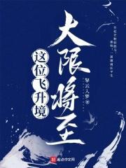 飞升境的寿命