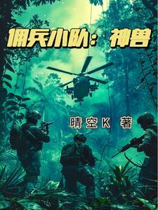 雇佣兵队长