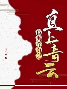 官场 省委书记