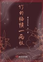 竹外梅横一两枝 薰衣草包