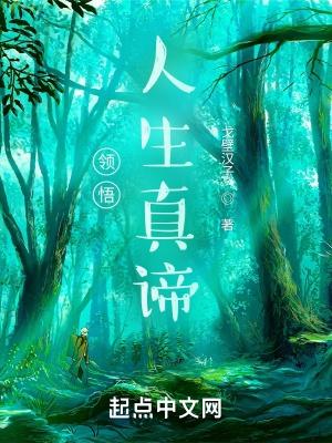 领悟人生真谛思维导图