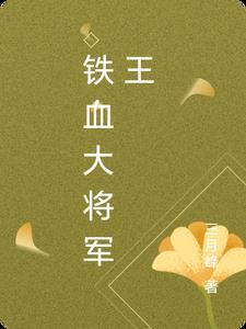 铁血将军27集