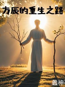 主人公名叫方辰的