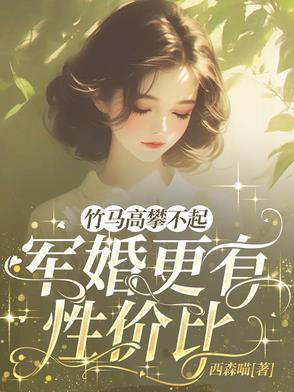 青梅竹马军婚文