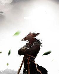 光影与飞尘 silentcarol