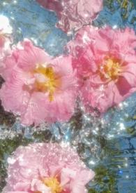 涉江采芙蓉的对写法
