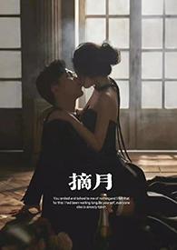 摘月小柒txt