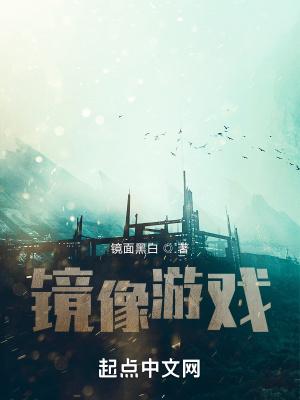 单机游戏镜像版什么意思