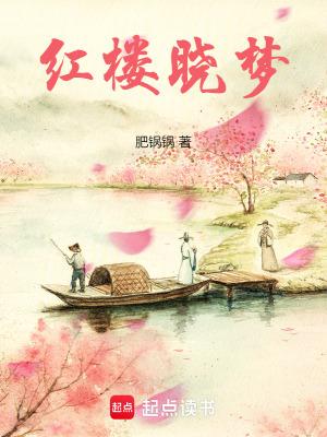 小红楼梦