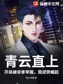 青云直上全文免费阅读