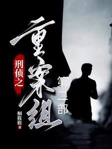 刑侦大案侦破纪实