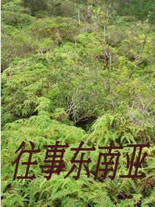 逗留在缅北的中国公民