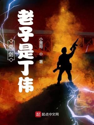 亮剑老子是丁伟 第502章