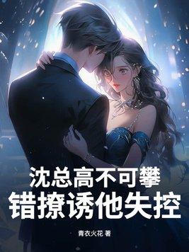 沈总的娇妻她太撩人