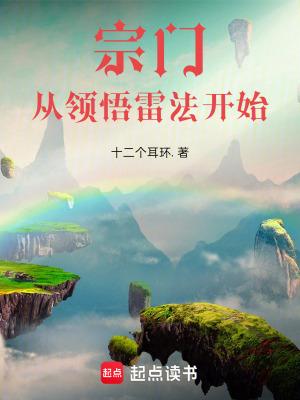宗门从领悟雷法开始篱笆好中文