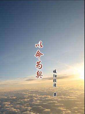 以命相抵的意思