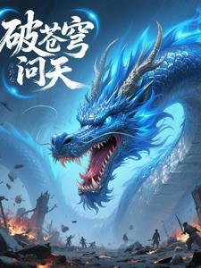 什么破苍穹