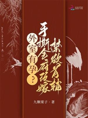 外室np文