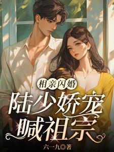 闪婚甜妻太傲娇