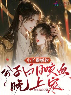 公子丫鬟的