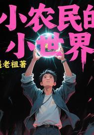 小农民的书