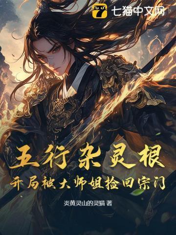 五行杂灵根制符修仙