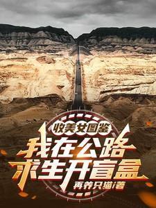 我在路费求生捡碎片