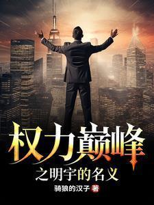 权力巅峰之明宇的名义前传