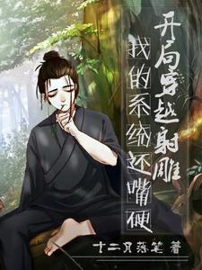 穿越射雕位面的