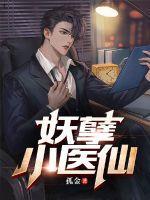 妖孽小医仙完整版免费