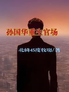 孙国华重生官场推荐