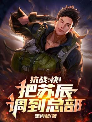 抗战系统苏阳