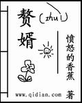 赘婿免费阅读全文