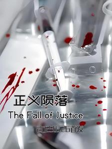 正义陨落电影