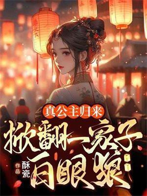 真公主和假公主的电视剧