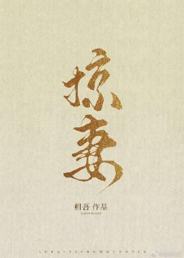 掠妻楼雨晴结局