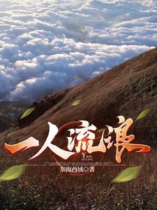 一人流浪在远方完整版